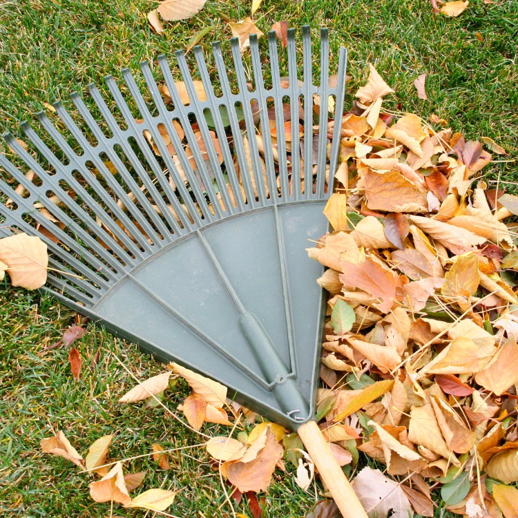 Property Management in Laconia, NH